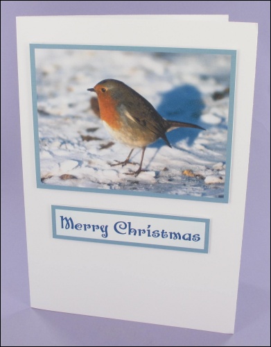 Project - Large Robin Photo Motif Card