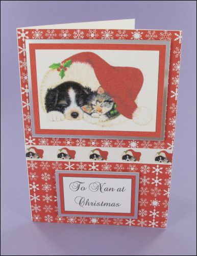 Project - Cute Christmas Pets card